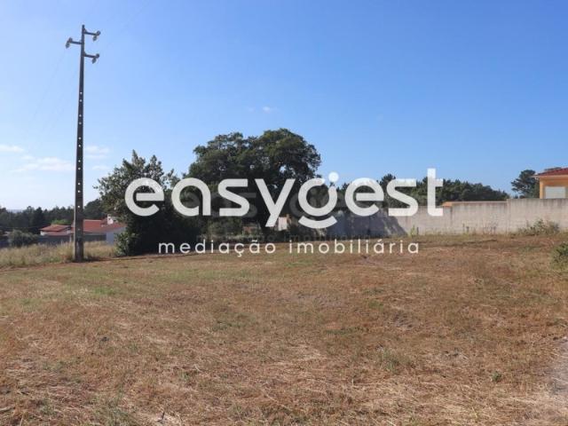 Terreno para Construção com 4 000 m2/ Leiria