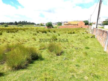 Terreno para Construção com 53 mts de frente Povoa do Valado Aveiro
