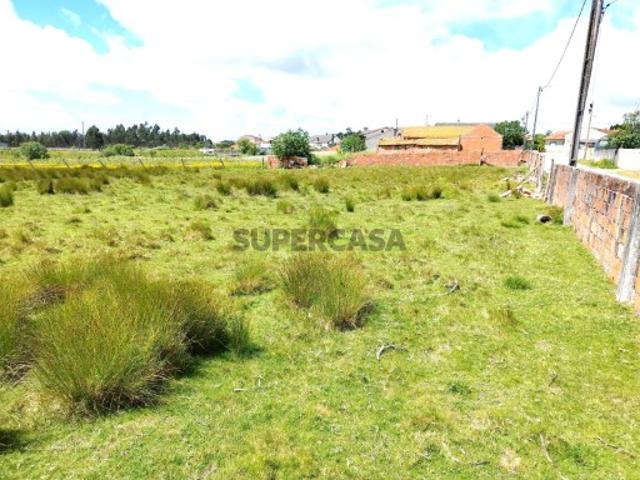 Terreno para Construção com 53 mts de frente Povoa do Valado Aveiro