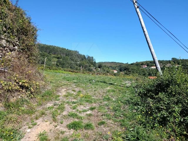 Terreno para Construção com 590 m²