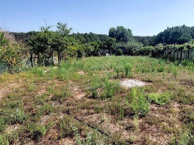 TERRENO PARA CONSTRUÇÃO COM 600 M² – PINHEIROS, MARRAZES, LEIRIA