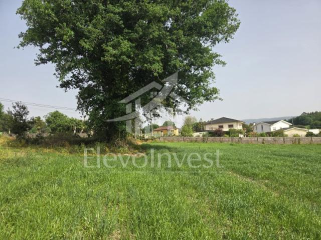 Terreno para Construção com 7.737m² com casa em ruínas | Excelente Oportunidade em Tamel S. Veríssimo