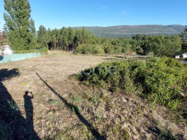 Terreno para construção com 7080 m² em Cumeira de Cima, Juncal