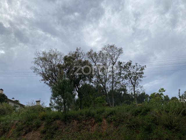 Terreno para Construção | Com 8800m2