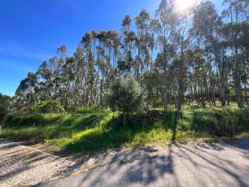 Terreno para construção com 8.643 m² em Vidais Caldas da Rainha