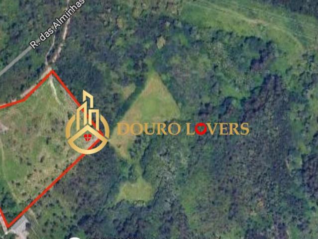 Terreno para construção com 13600m2