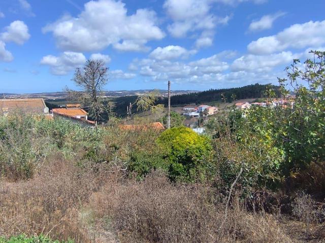 TERRENO PARA CONSTRUÇÃO COM 1.000 M² | CABEÇA GORDA | ENTRE TORRES VEDRAS E A LOURINHÃ