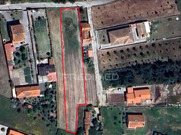 Terreno para construção com 2310 M2 em Mira, Coimbra