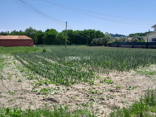 Terreno para construção com 2900m2 | Troviscal