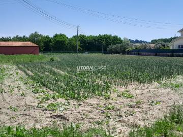 Terreno para construção com 2900m2 | Troviscal