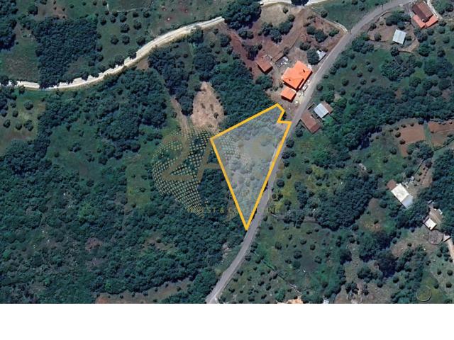 Terreno para Construção com 2.000 m² – Lagarteira de Baixo, Ansião