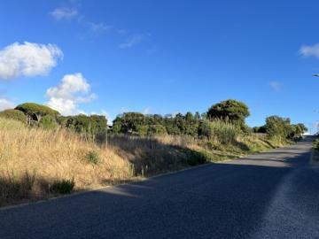 Terreno para construção com 2.220 m² muito perto da praia da Foz do Arelho e de Caldas da Rainha