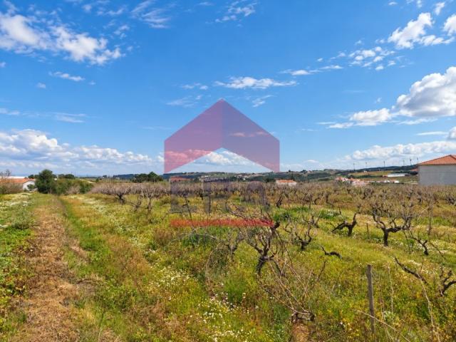 Terreno para construção com 3981 m2