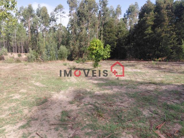 TERRENO PARA CONSTRUÇÃO com três mil quatrocentos e cinquenta e dois metros quadrados!