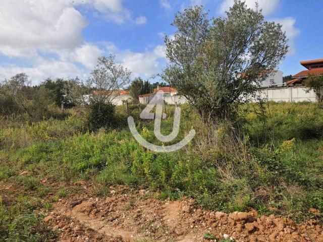 Terreno para construção com vista para a Serra dos Candeeiros