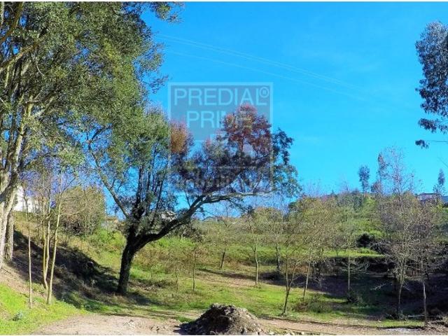 TERRENO PARA CONSTRUÇÃO COM BOA ORIENTAÇÃO SOLAR