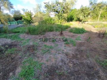 Terreno para construção, com casa em Ruinas a 5 Km de Anadia