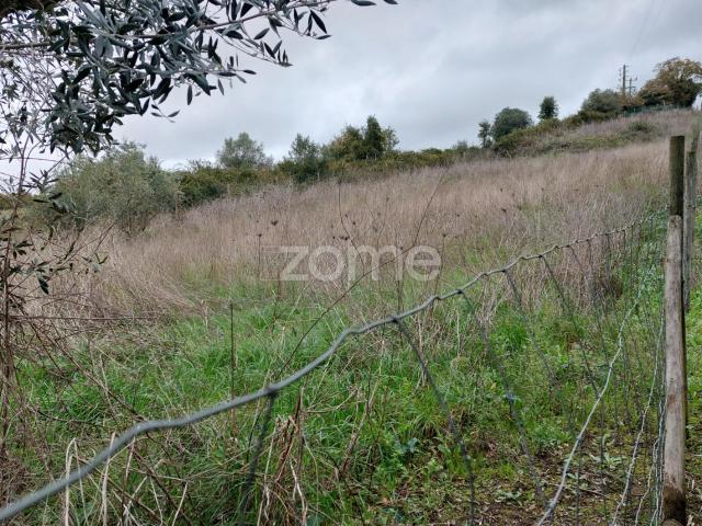 Terreno para construção com cerca de 1600 m², Fonte do Oleiro, Batalha