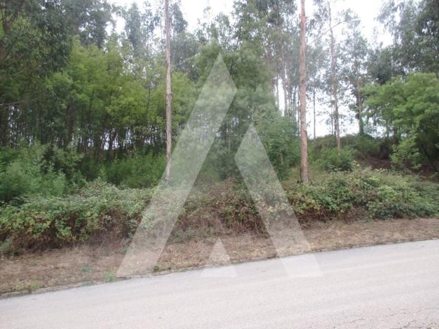 Terreno para construção com duas frentes entre as cidades de Águeda, Anadia e Oliveira do Bairro