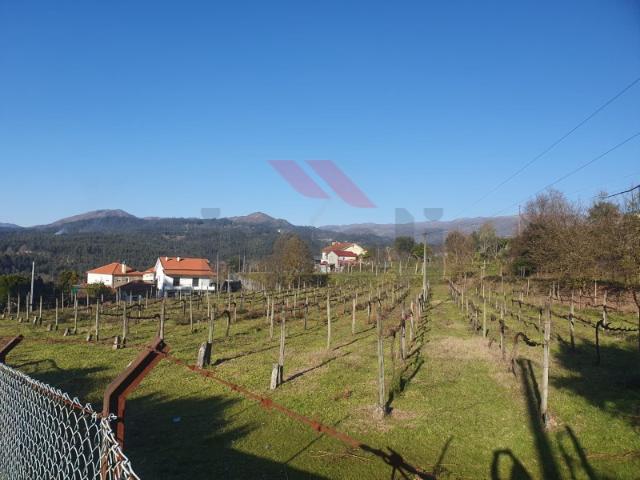 Terreno para Construção com Furo de Água e Nascente