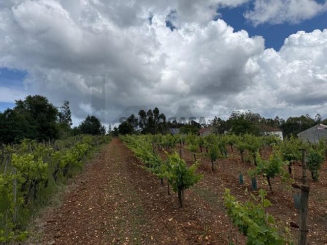 Terreno para construção com projeto aprovado em Vil de Matos