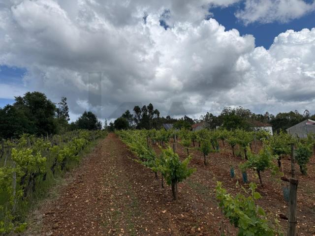 Terreno para construção com projeto aprovado em Vil de Matos