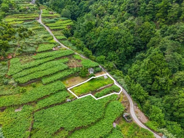 Terreno para Construção com Projeto Residencial à Venda