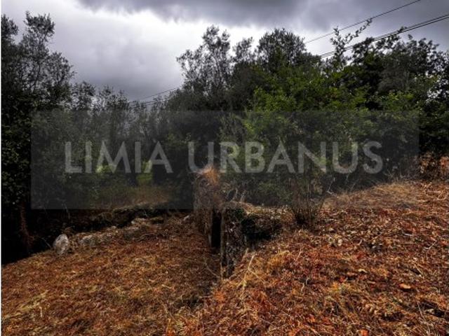 Terreno para Construção com Ruína | Cepões, Ponte de Lima