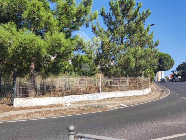 Terreno para construção confina com estrada nacional