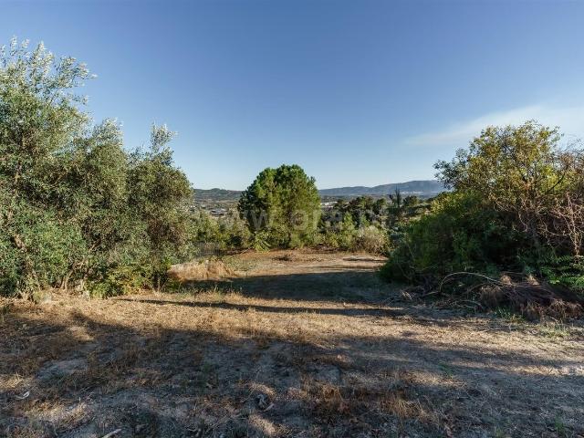 Terreno para Construção / Covilhã, Tortosendo