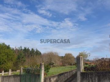 Terreno para construção de moradia 10 minutos de Albergaria a Velha
