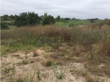 Terreno para Construção de moradia