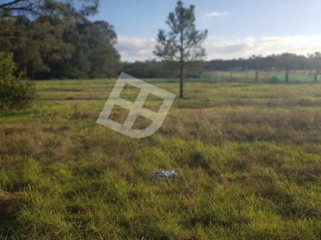 Terreno para construção de moradia Gafanha do Carmo