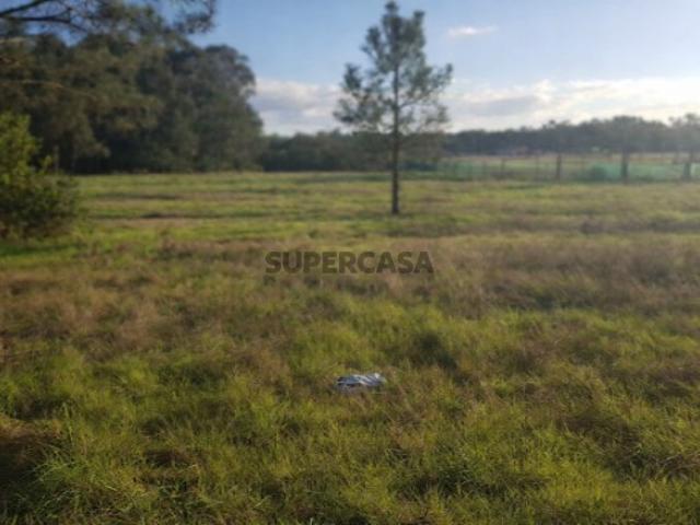 Terreno para construção de moradia Gafanha do Carmo