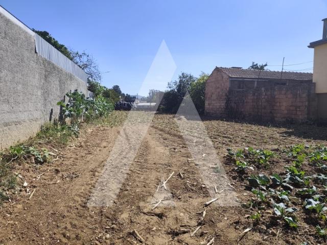 Terreno para construção de moradia em Águeda