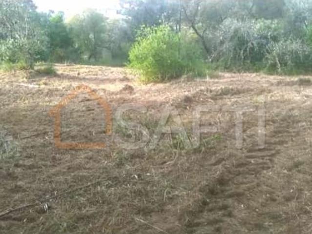 Terreno Misto para Venda Urqueira, Ourém
