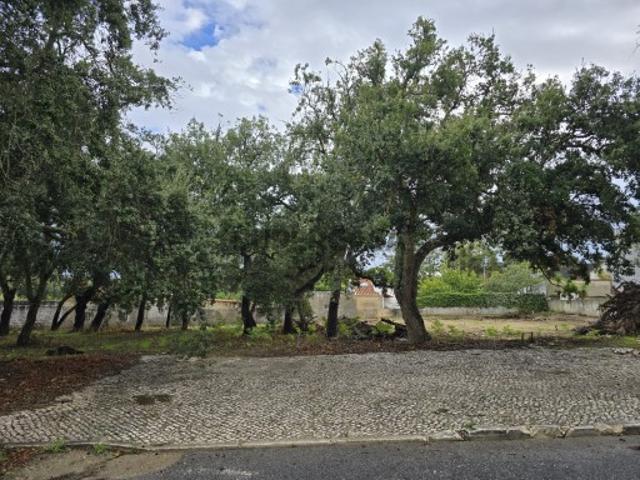 Terreno para construção de moradia isolada no Alto das Vinhas, Sesimbra
