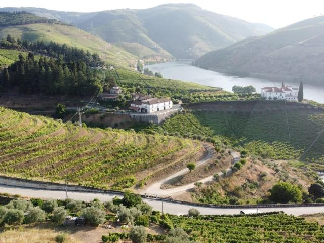 Terreno para construção de moradia no centro do Douro