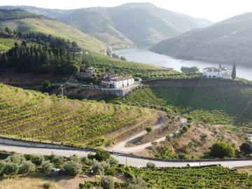 Terreno para construção de moradia no centro do Douro