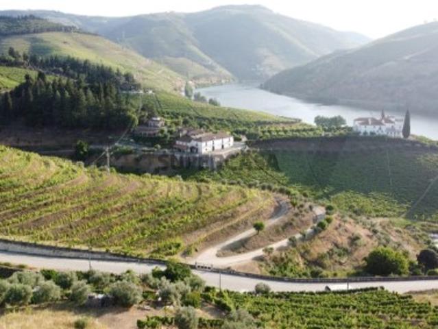 Terreno para construção de moradia no centro do Douro