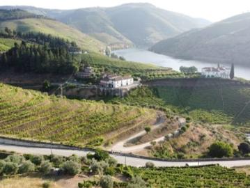 Terreno para construção de moradia no centro do Douro