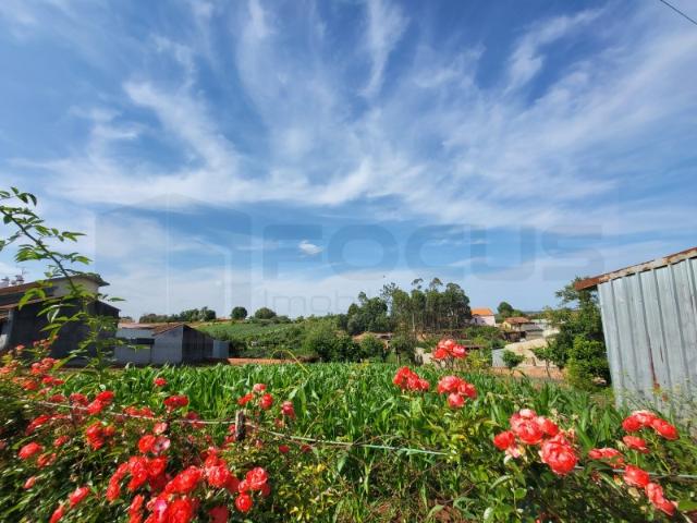 Terreno para construção de moradia São João de Loure