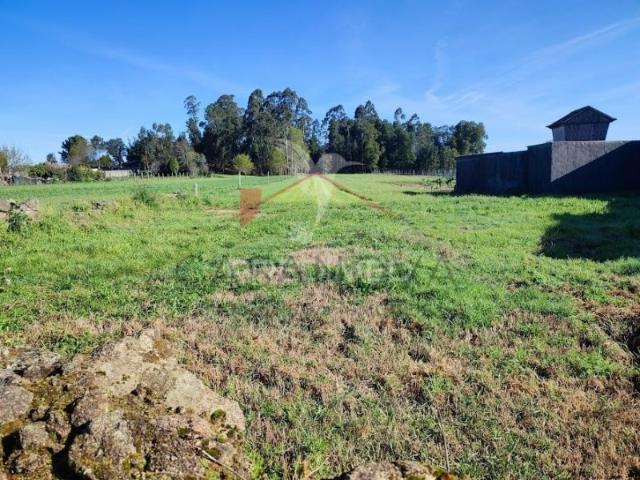 Terreno para construção de moradia Seixezelo