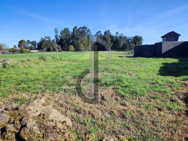 Terreno para construção de 4 moradias Seixezelo