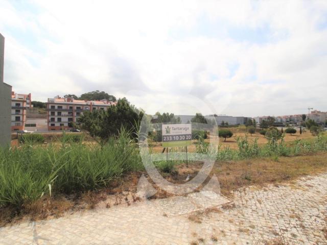 Terreno para Construção de Moradia Unifamiliar na Quinta da Borloteira