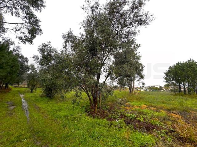 Terreno para construção de moradia zona calma VAGOS