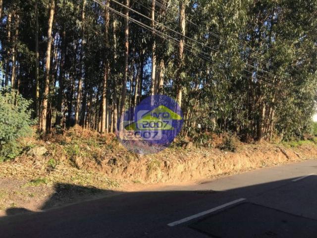 Terreno para construção de moradias Serzedo