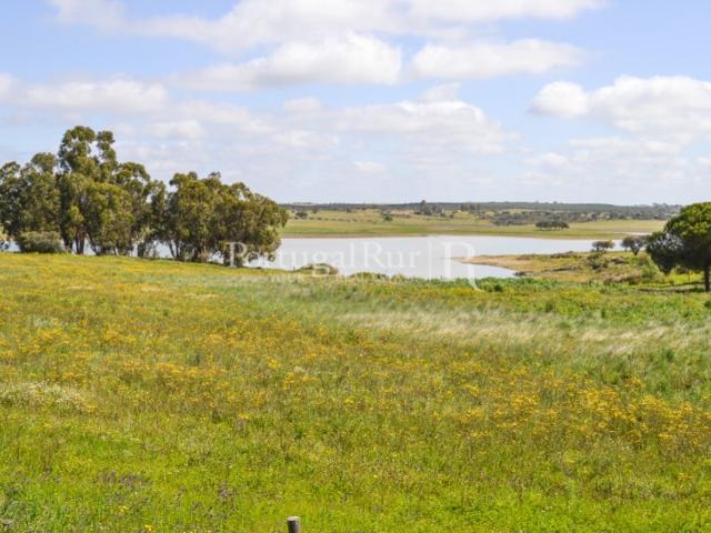 Terreno para construção de Exploração Agrícola