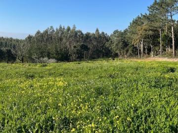 Terreno para construção de grande moradia