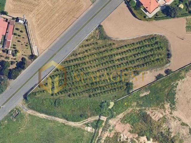 Terreno para construção de prédios em Gueifães